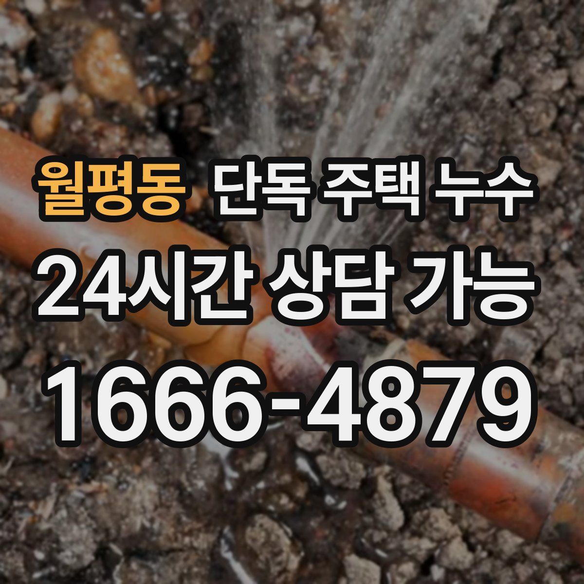 월평동 단독 주택 누수