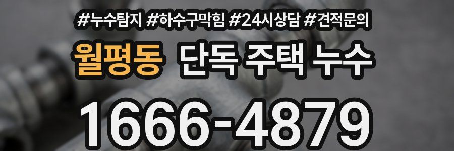 월평동 단독 주택 누수