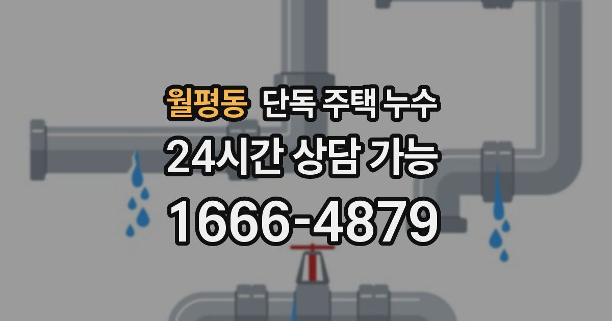 월평동 단독 주택 누수