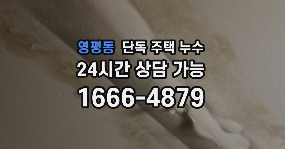 영평동 단독 주택 누수