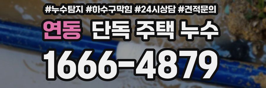 연동 단독 주택 누수