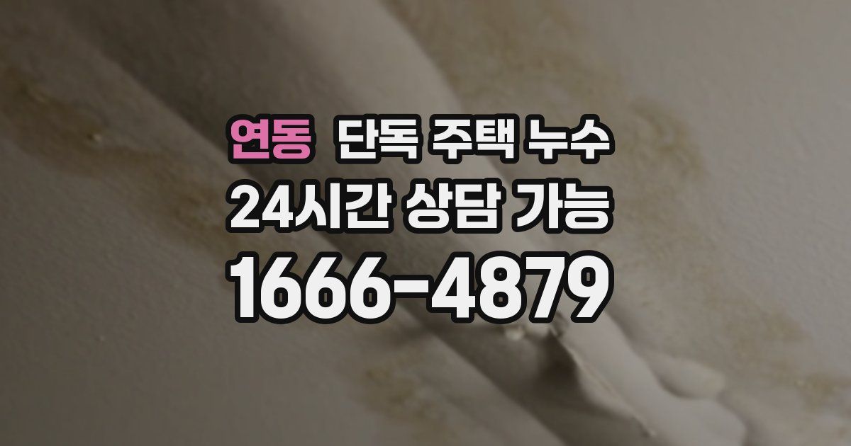 연동 단독 주택 누수