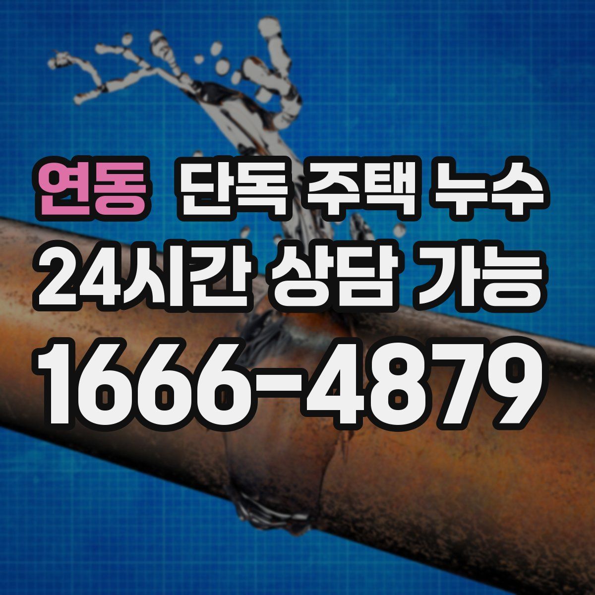 연동 단독 주택 누수