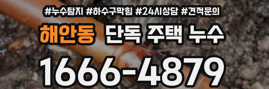 해안동 단독 주택 누수