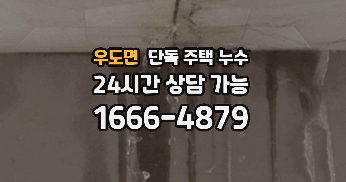 우도면 단독 주택 누수