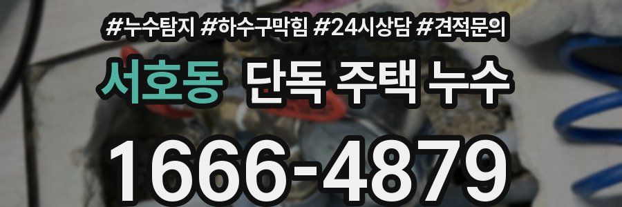 서호동 단독 주택 누수