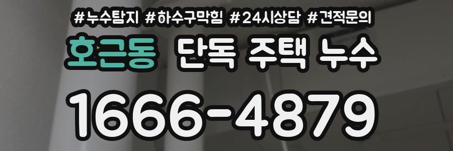 호근동 단독 주택 누수