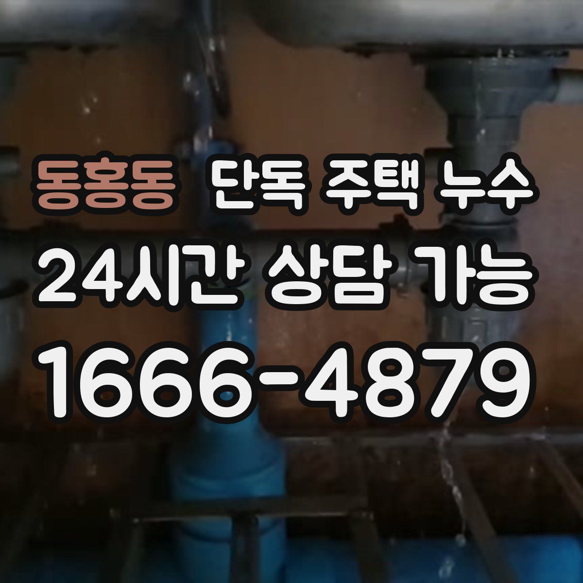 동홍동 단독 주택 누수