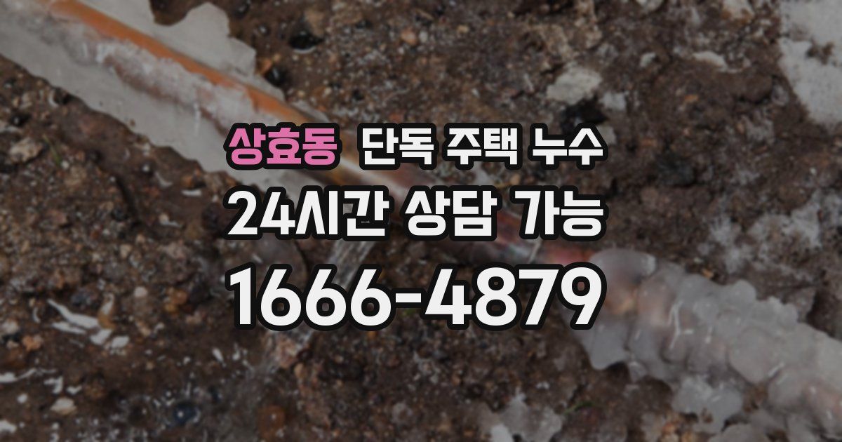 상효동 단독 주택 누수