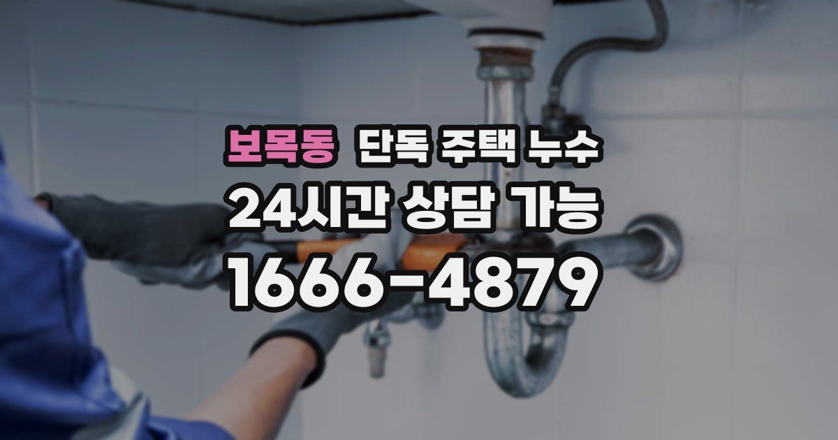 보목동 단독 주택 누수