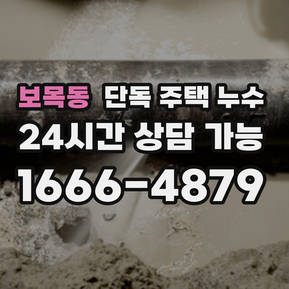 보목동 단독 주택 누수