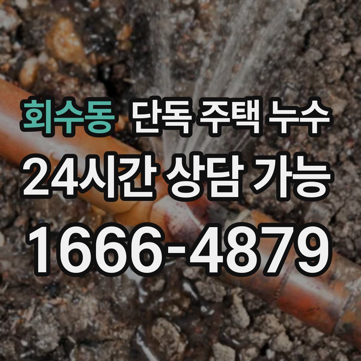 회수동 단독 주택 누수