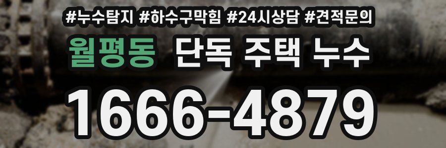 월평동 단독 주택 누수