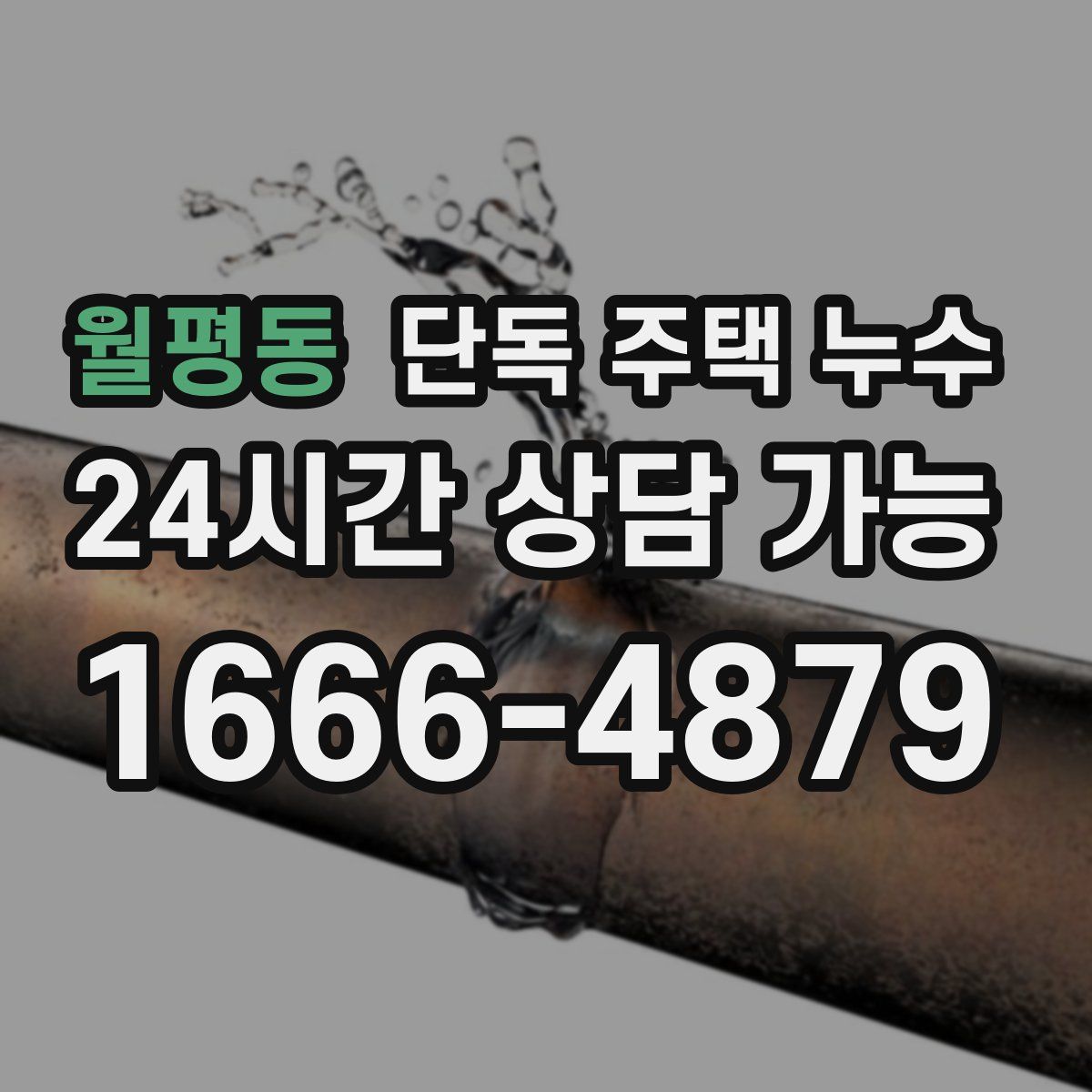 월평동 단독 주택 누수