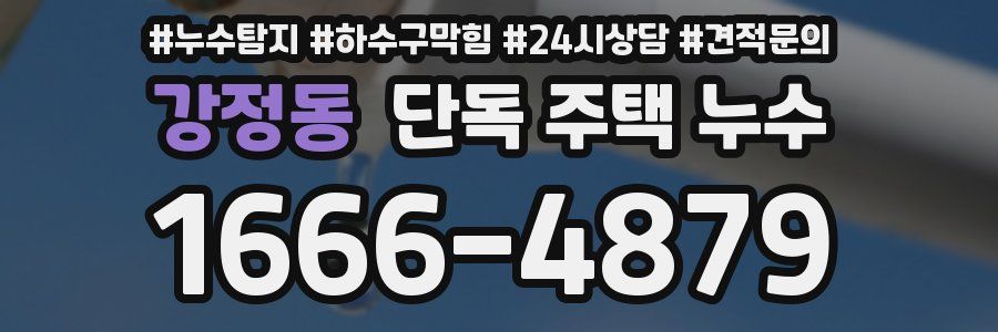 강정동 단독 주택 누수