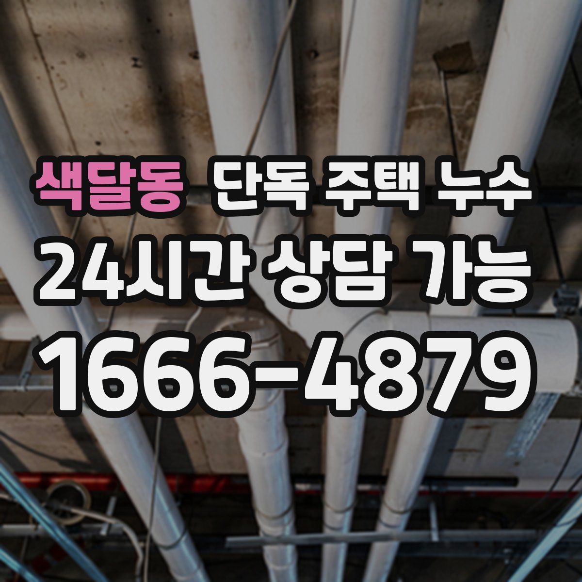 색달동 단독 주택 누수