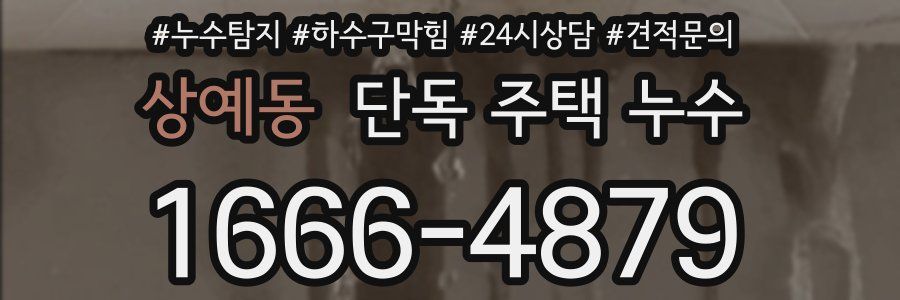 상예동 단독 주택 누수