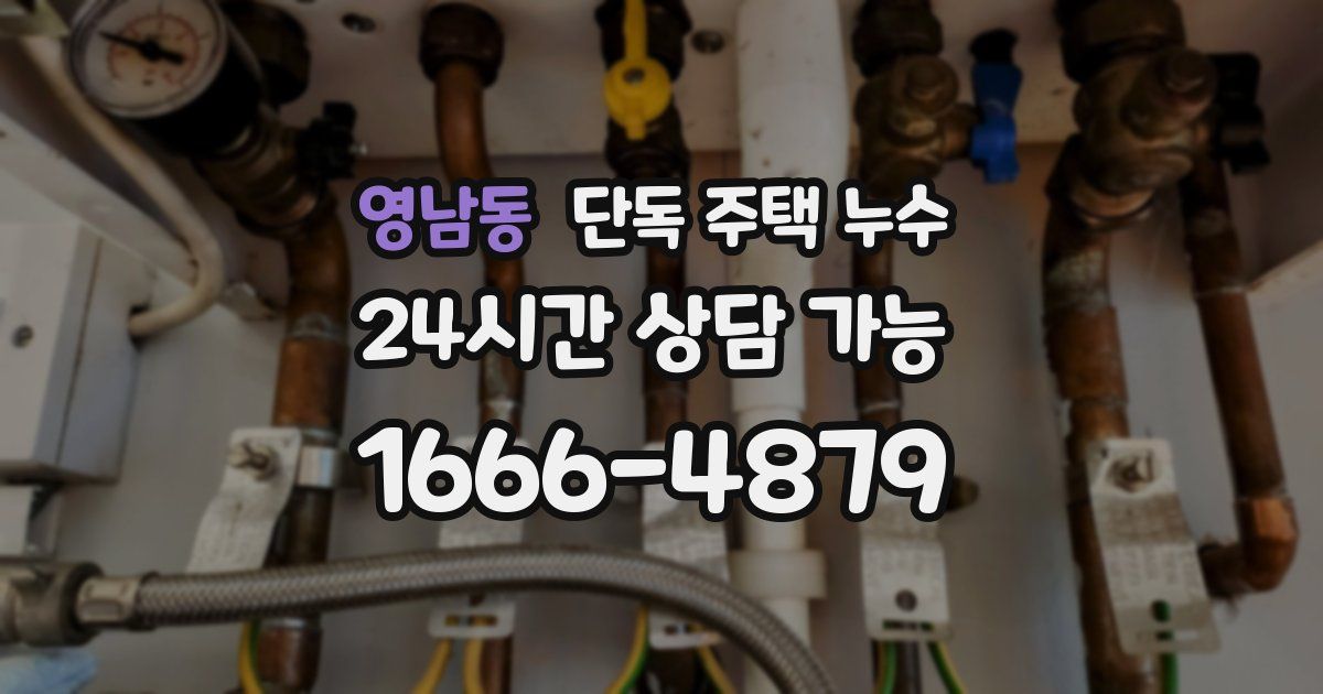 영남동 단독 주택 누수