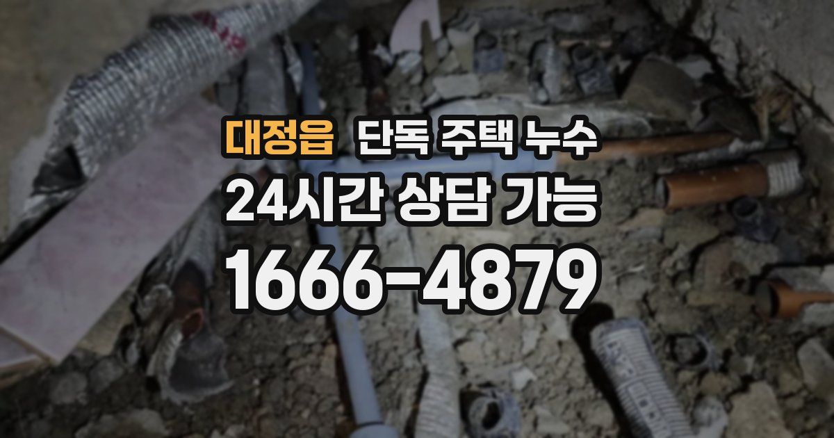 대정읍 단독 주택 누수