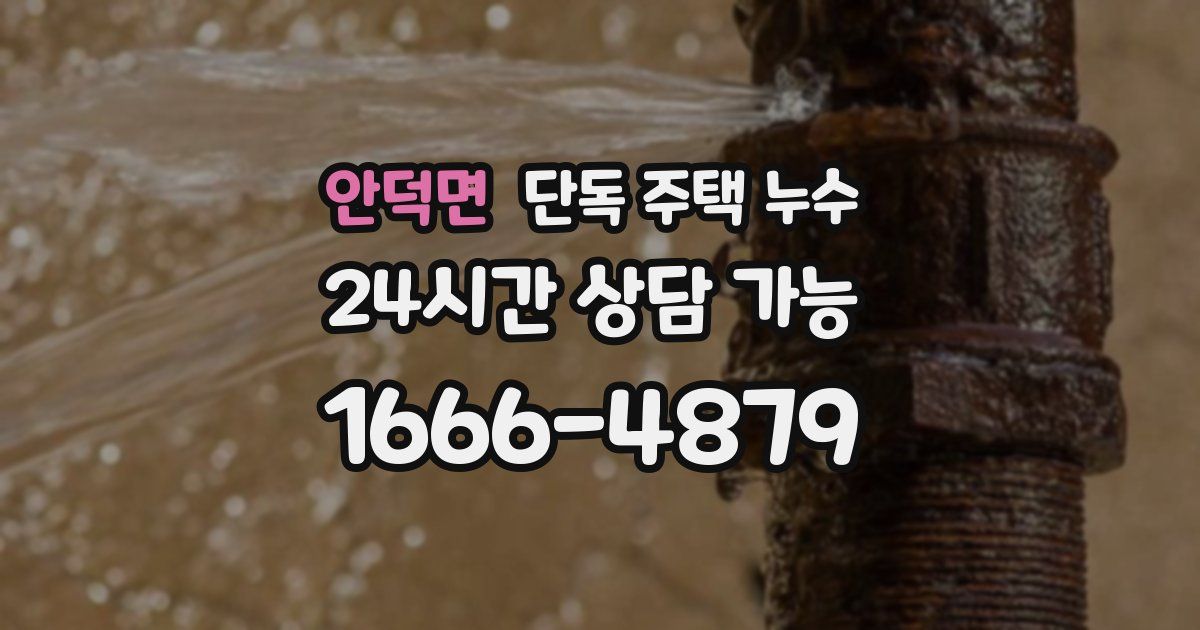 안덕면 단독 주택 누수