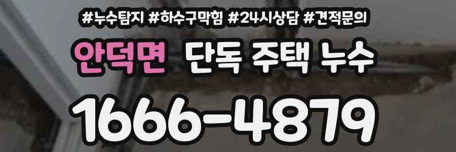 안덕면 단독 주택 누수
