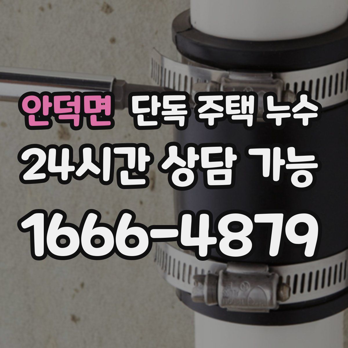 안덕면 단독 주택 누수