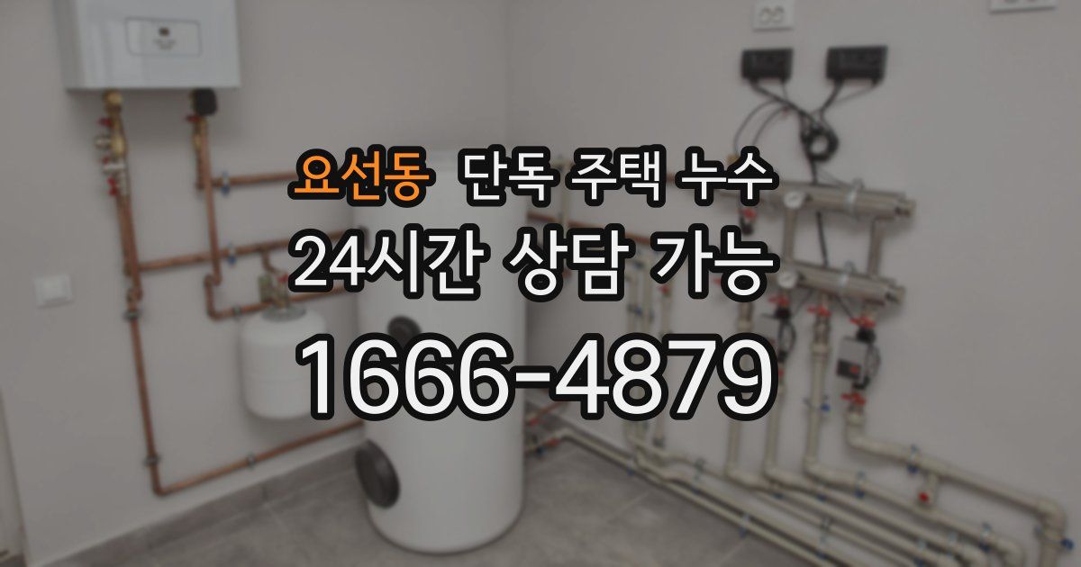 요선동 단독 주택 누수