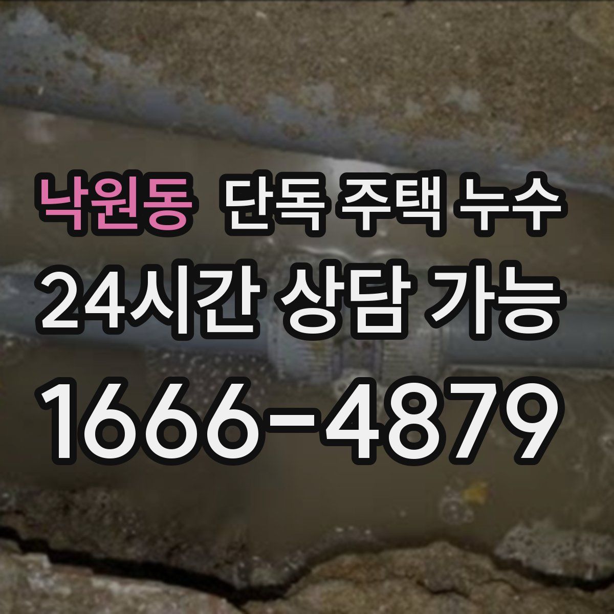 낙원동 단독 주택 누수