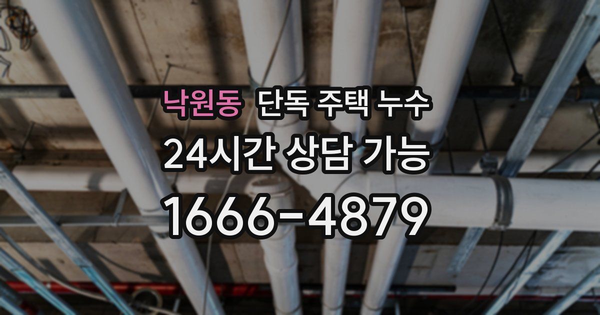 낙원동 단독 주택 누수