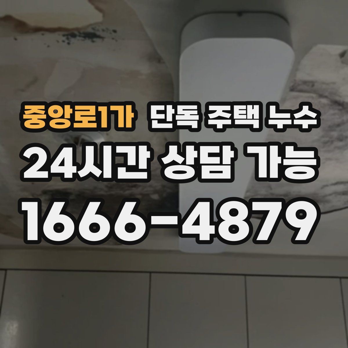 중앙로1가 단독 주택 누수 다락 천장 얼룩이 생기면 지붕부터 점검