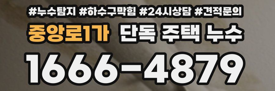 중앙로1가 단독 주택 누수