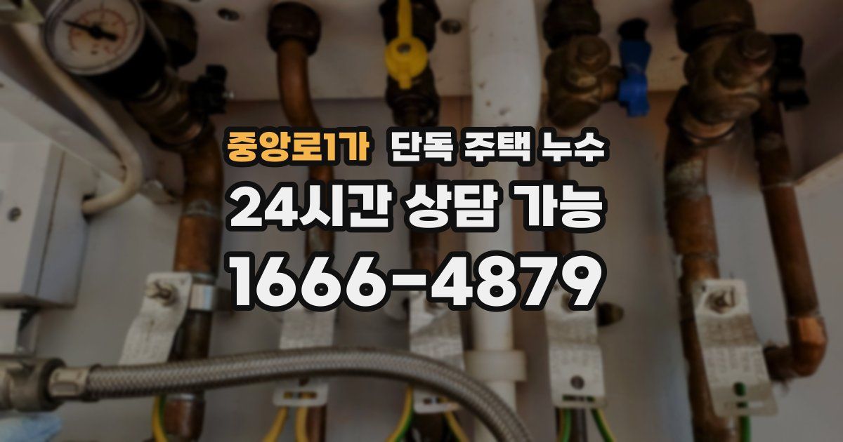 중앙로1가 단독 주택 누수