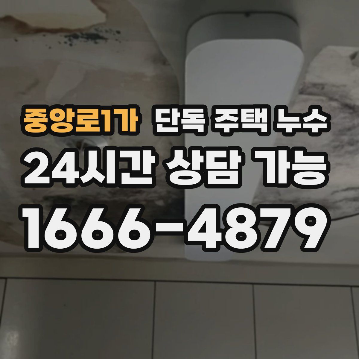 중앙로1가 단독 주택 누수