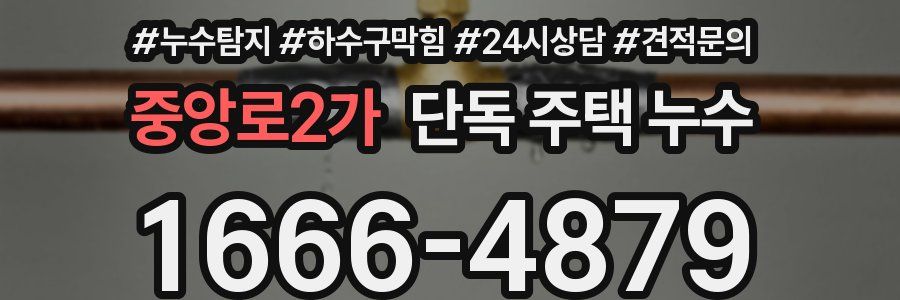 중앙로2가 단독 주택 누수