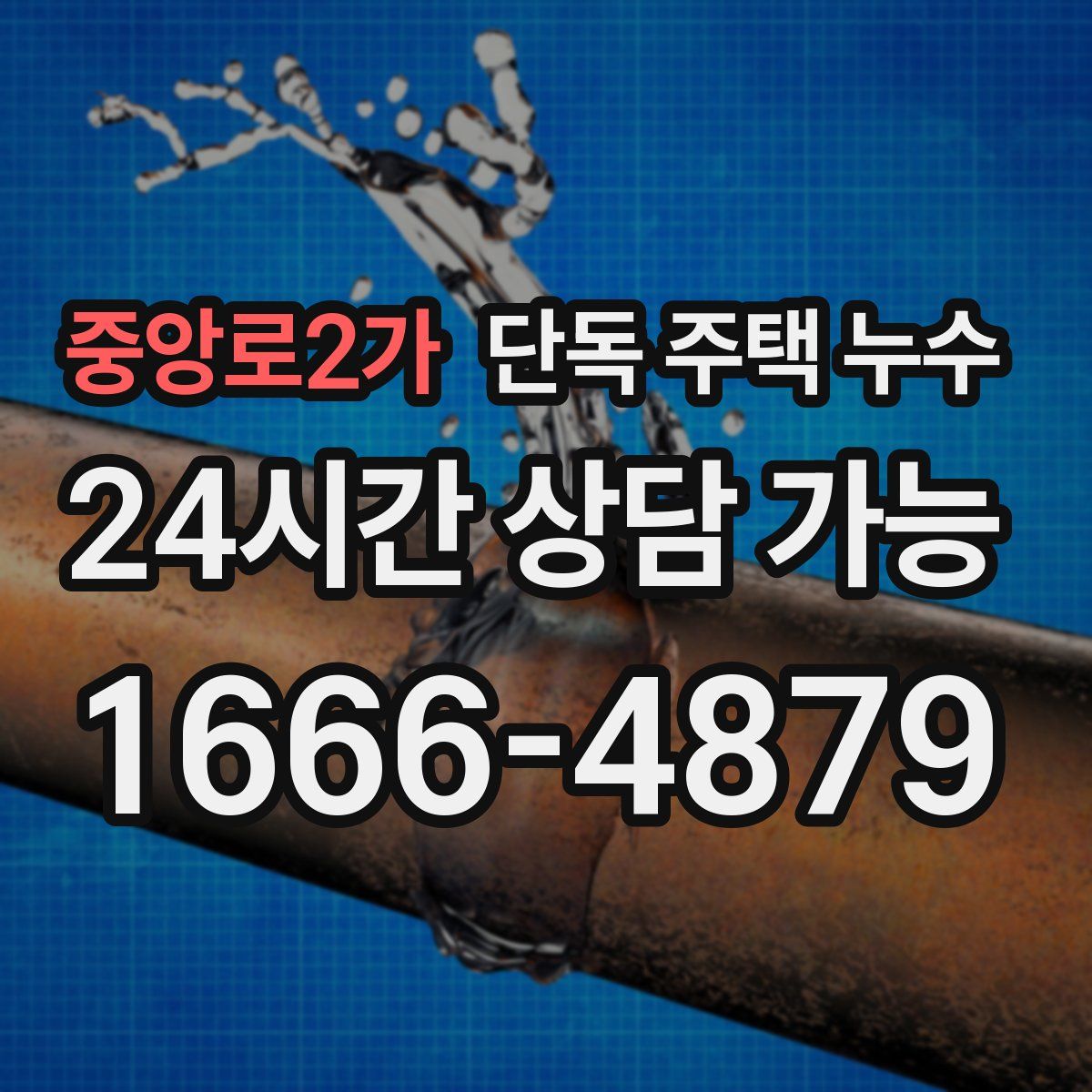 중앙로2가 단독 주택 누수