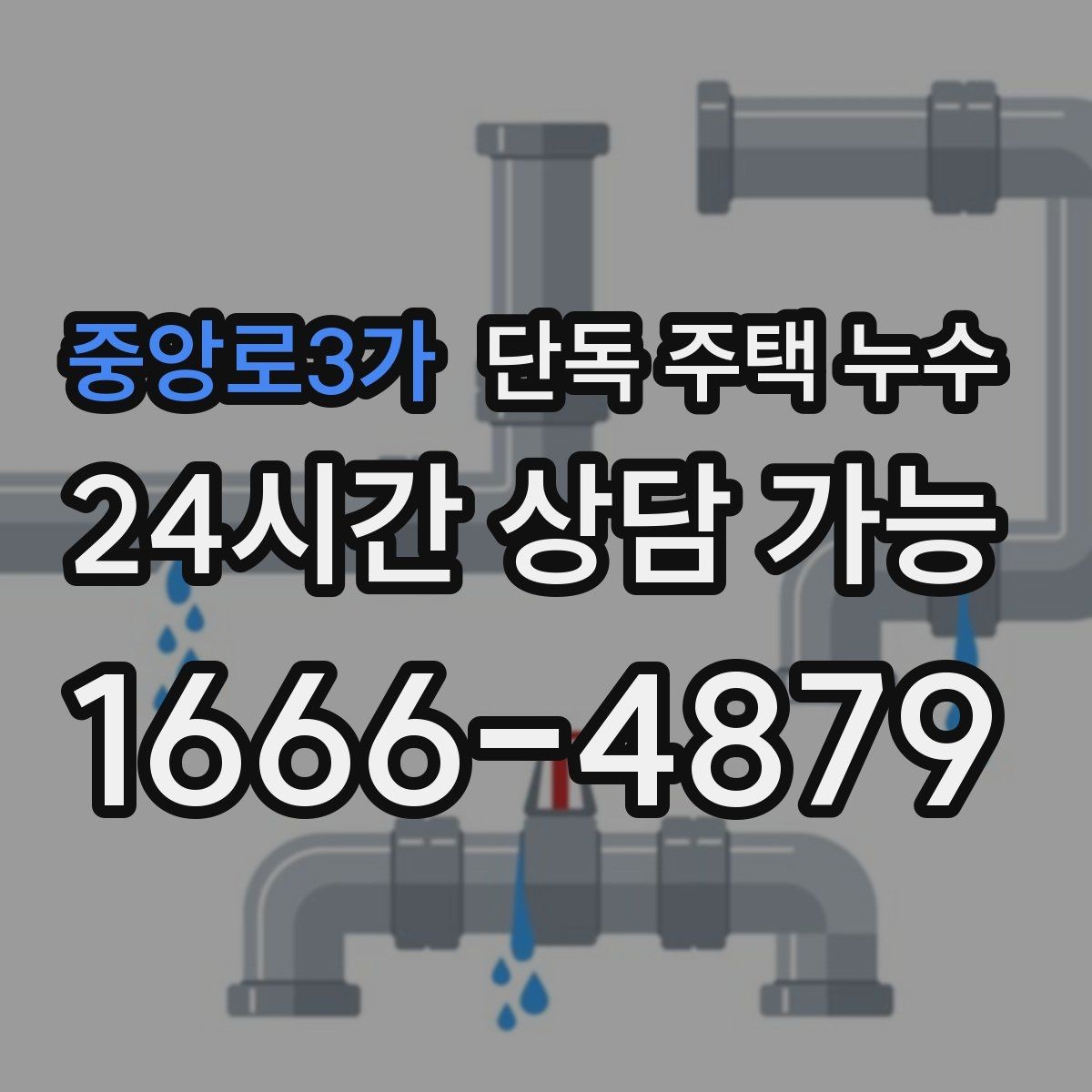 중앙로3가 단독 주택 누수 주방 벽면이 젖는다면 배관부터 볼까