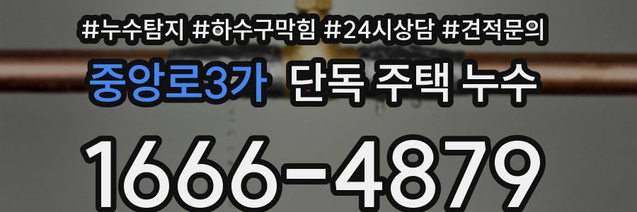 중앙로3가 단독 주택 누수