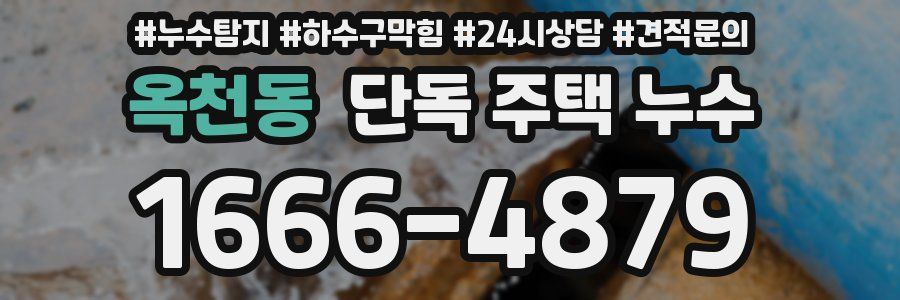 옥천동 단독 주택 누수
