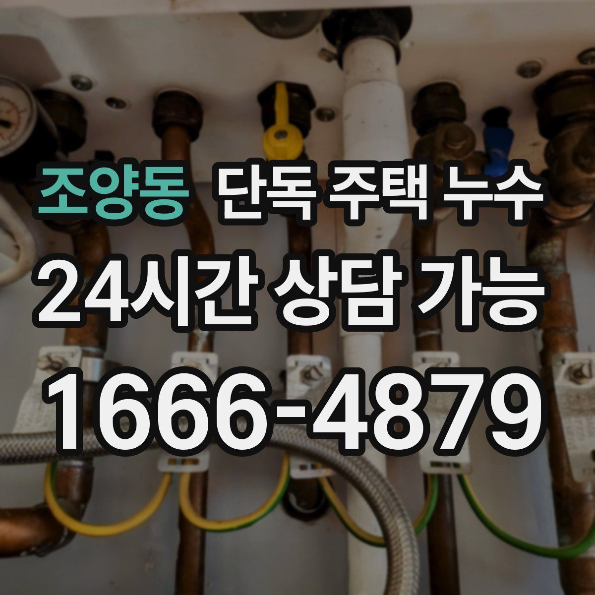 조양동 단독 주택 누수