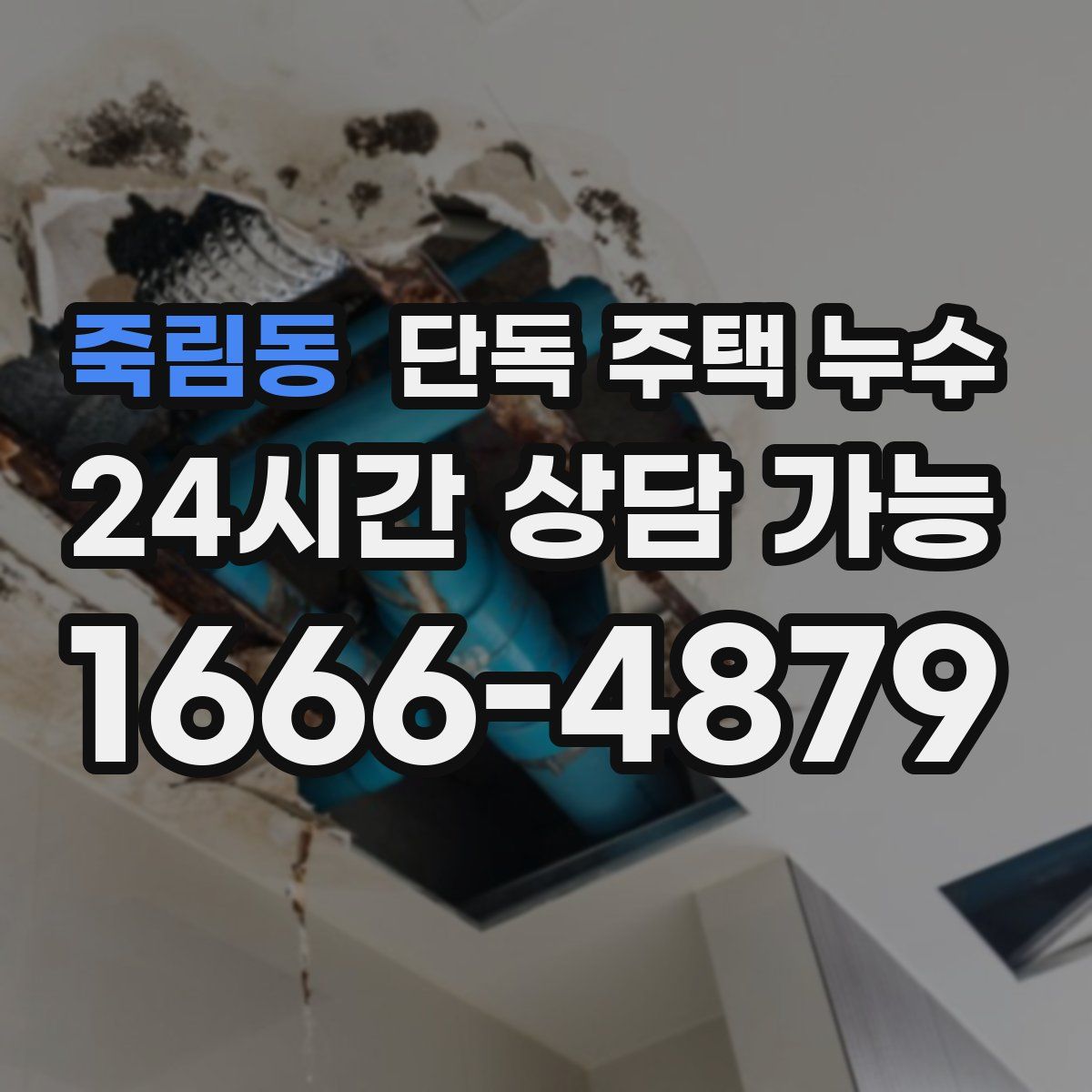 죽림동 단독 주택 누수