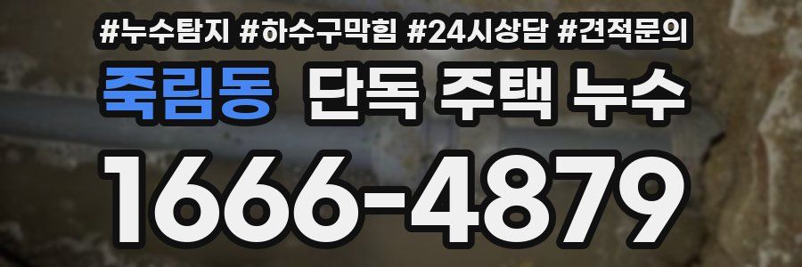 죽림동 단독 주택 누수