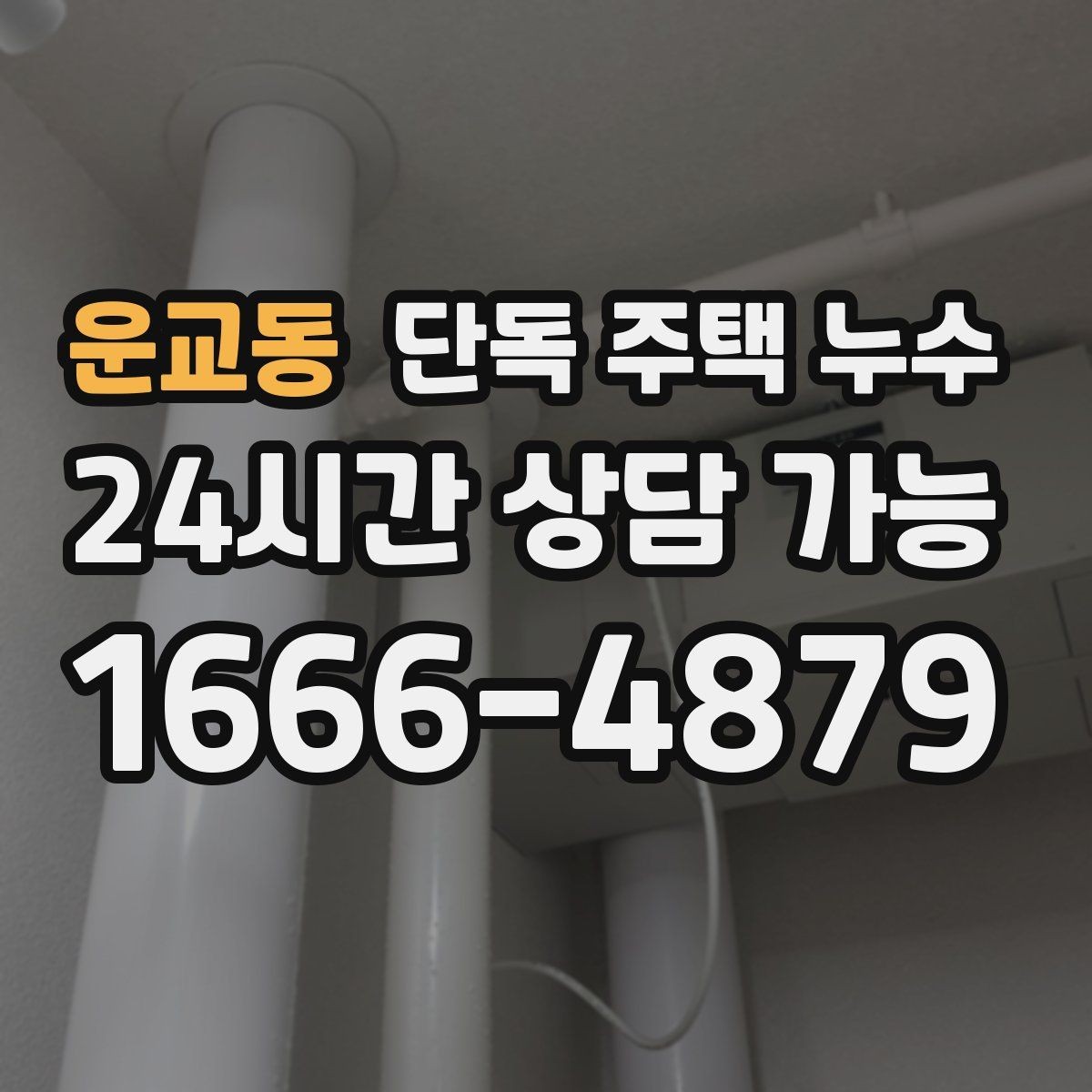 운교동 단독 주택 누수 벽지 이음선 따라 물자국이 생길 때