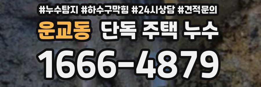 운교동 단독 주택 누수