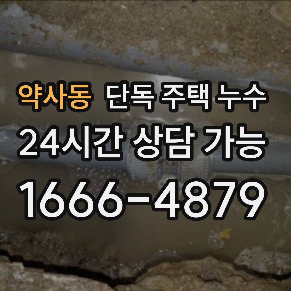 약사동 단독 주택 누수