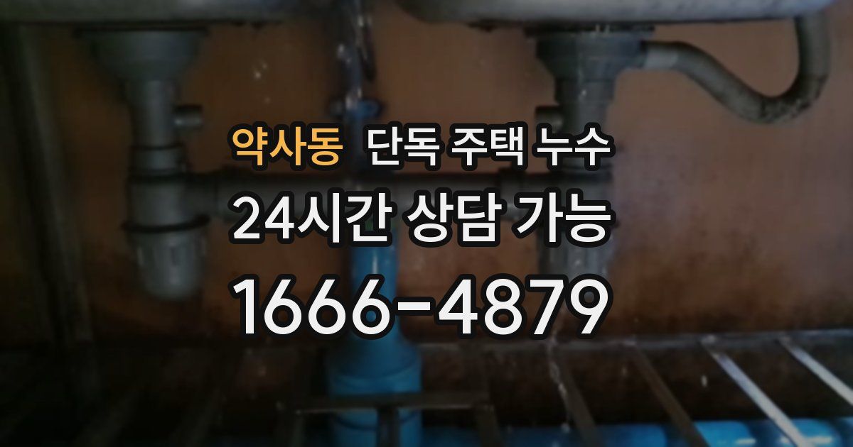 약사동 단독 주택 누수