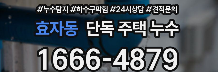 효자동 단독 주택 누수