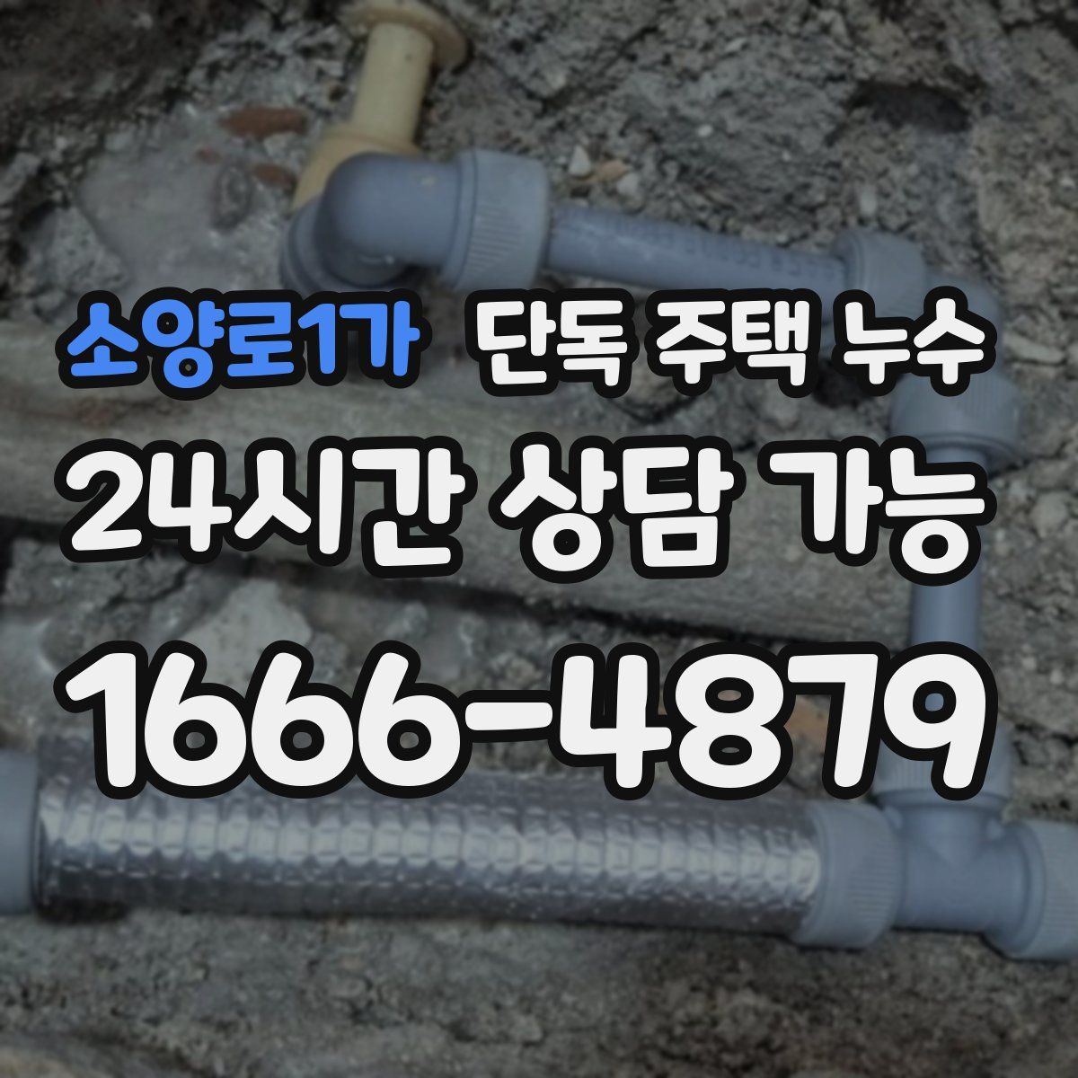 소양로1가 단독 주택 누수