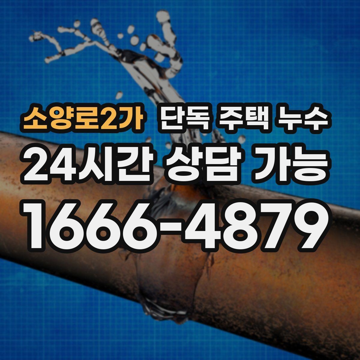 소양로2가 단독 주택 누수 담장 쪽 물고임이 벽으로 스며드는 경우