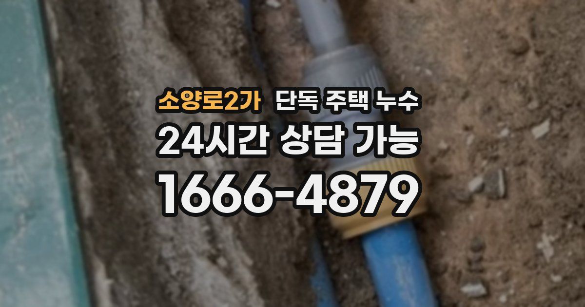 소양로2가 단독 주택 누수