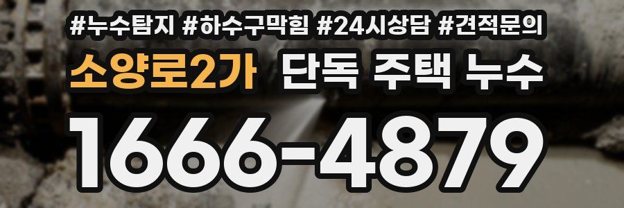 소양로2가 단독 주택 누수
